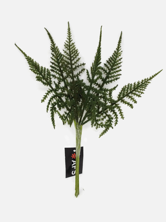 6 Stem Textured Asparagus Fern Bundle x 26cm